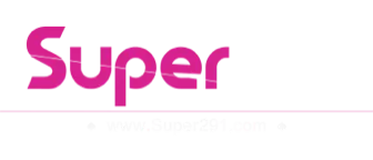  SUPER291 LOGO