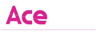 ace291 logo